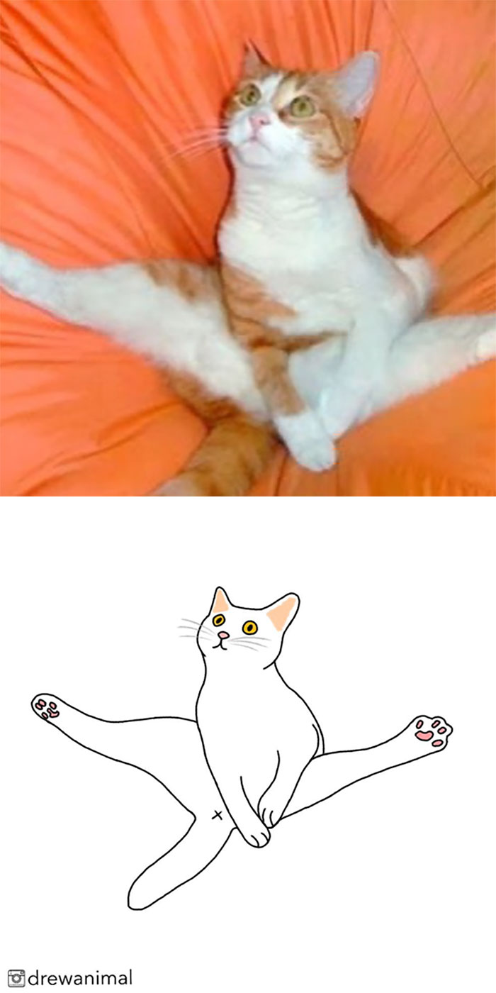 Artist Turns Classic Cat Memes Into Minimalist Illustrations