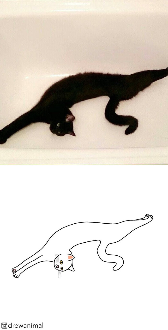 Artist Turns Classic Cat Memes Into Minimalist Illustrations