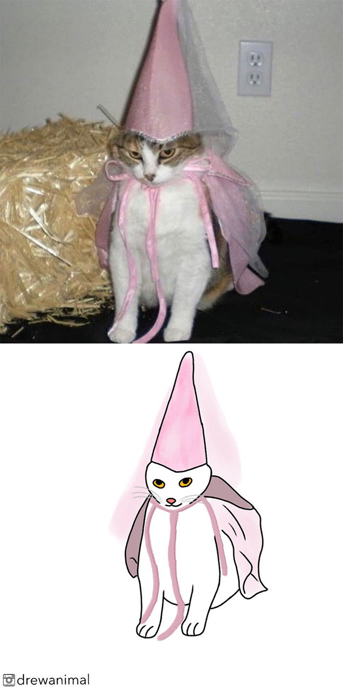 Artist Turns Classic Cat Memes Into Minimalist Illustrations