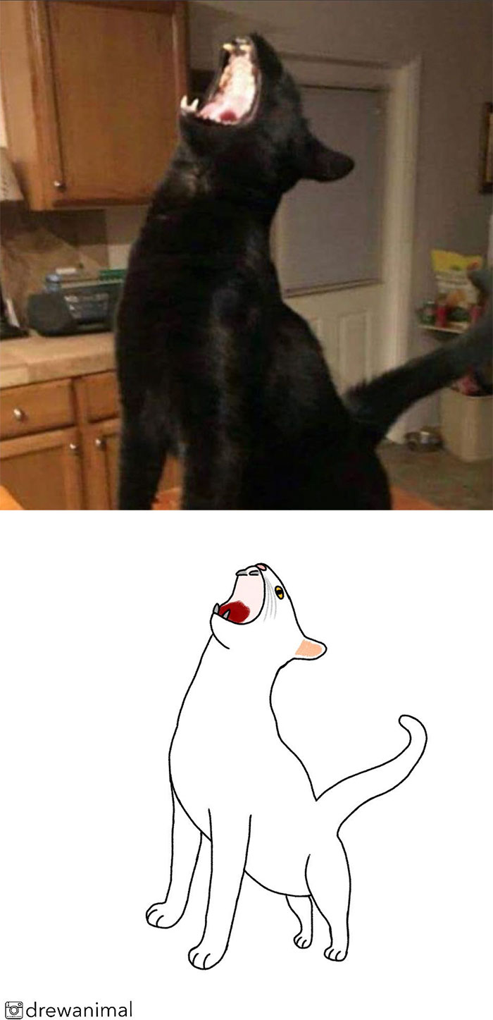 Artist Turns Classic Cat Memes Into Minimalist Illustrations