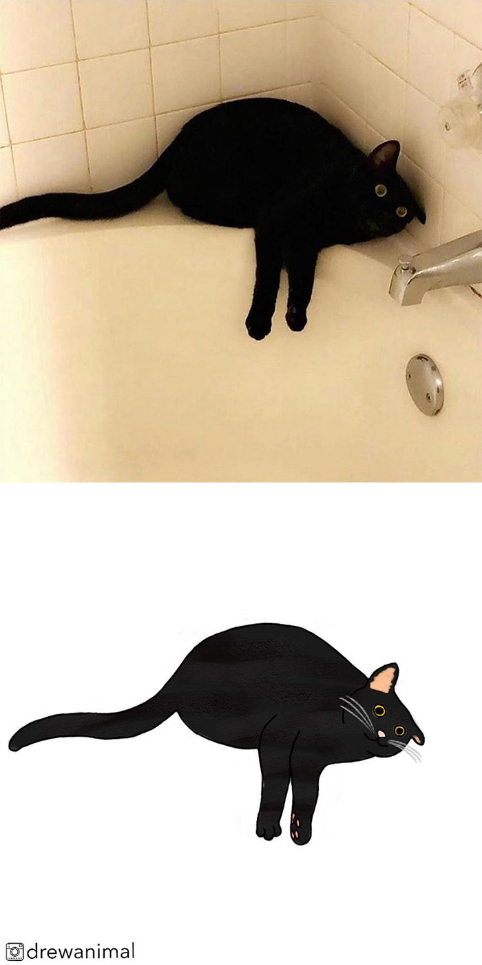 Artist Turns Classic Cat Memes Into Minimalist Illustrations