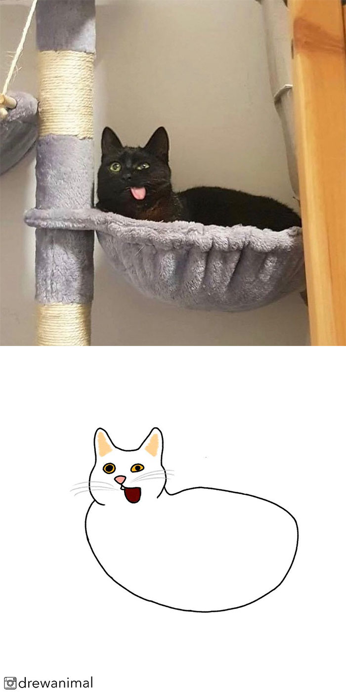 Artist Turns Classic Cat Memes Into Minimalist Illustrations