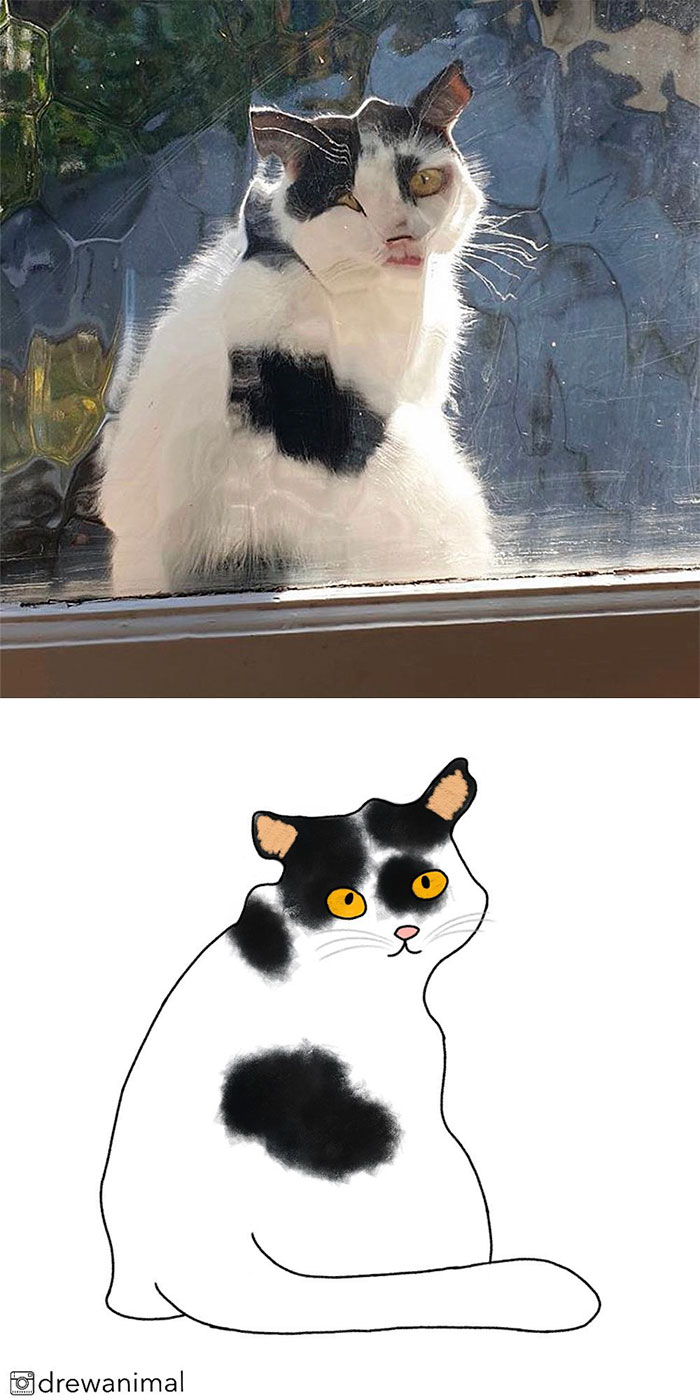 Artist Turns Classic Cat Memes Into Minimalist Illustrations