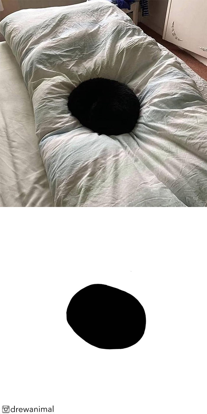 Artist Turns Classic Cat Memes Into Minimalist Illustrations