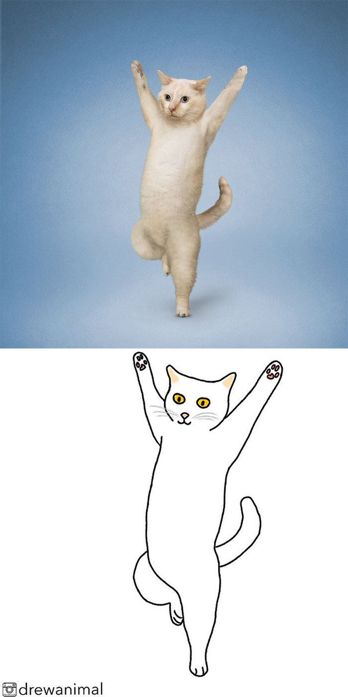 Artist Turns Classic Cat Memes Into Minimalist Illustrations