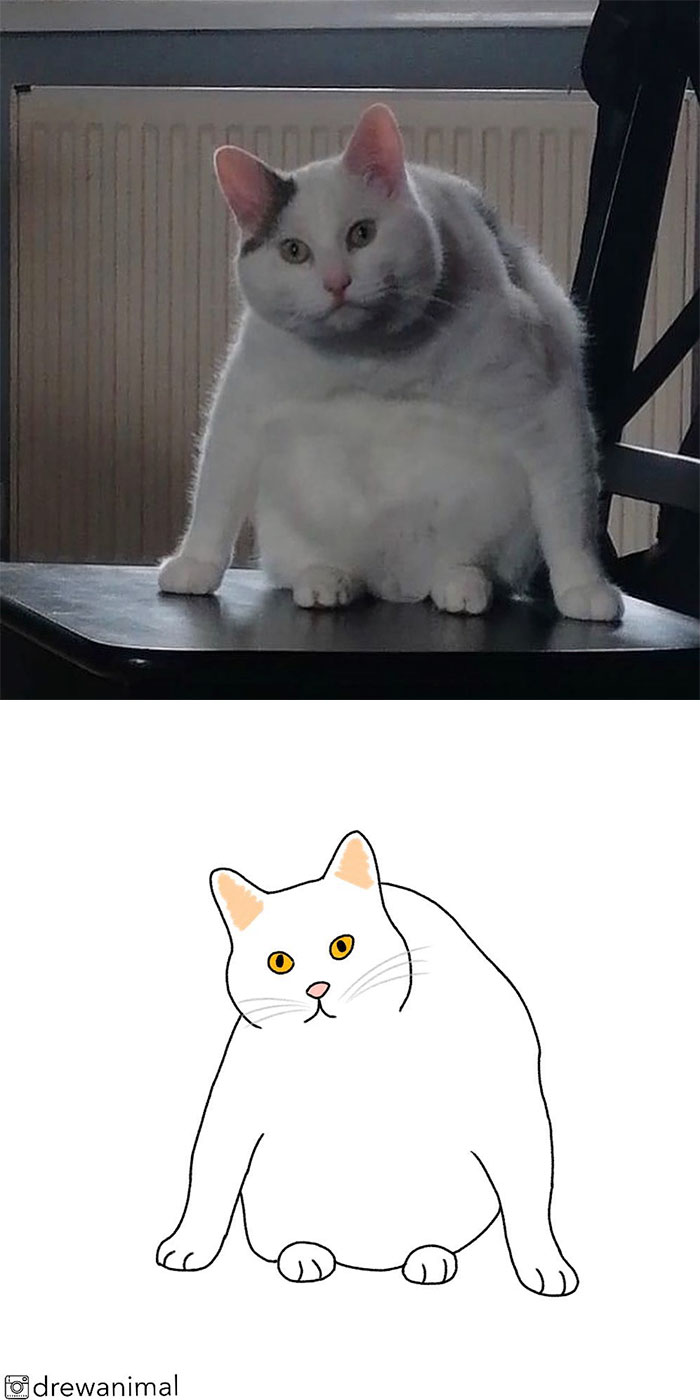 Artist Turns Classic Cat Memes Into Minimalist Illustrations