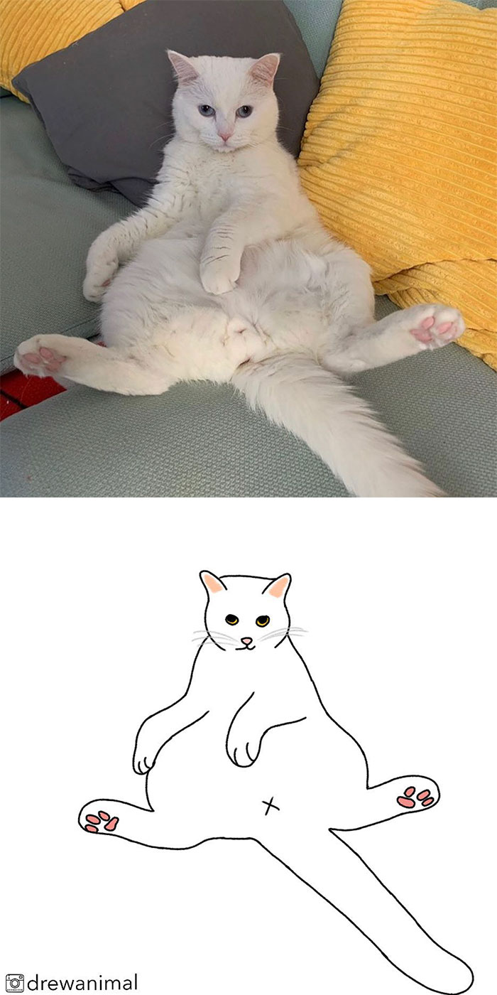 Artist Turns Classic Cat Memes Into Minimalist Illustrations
