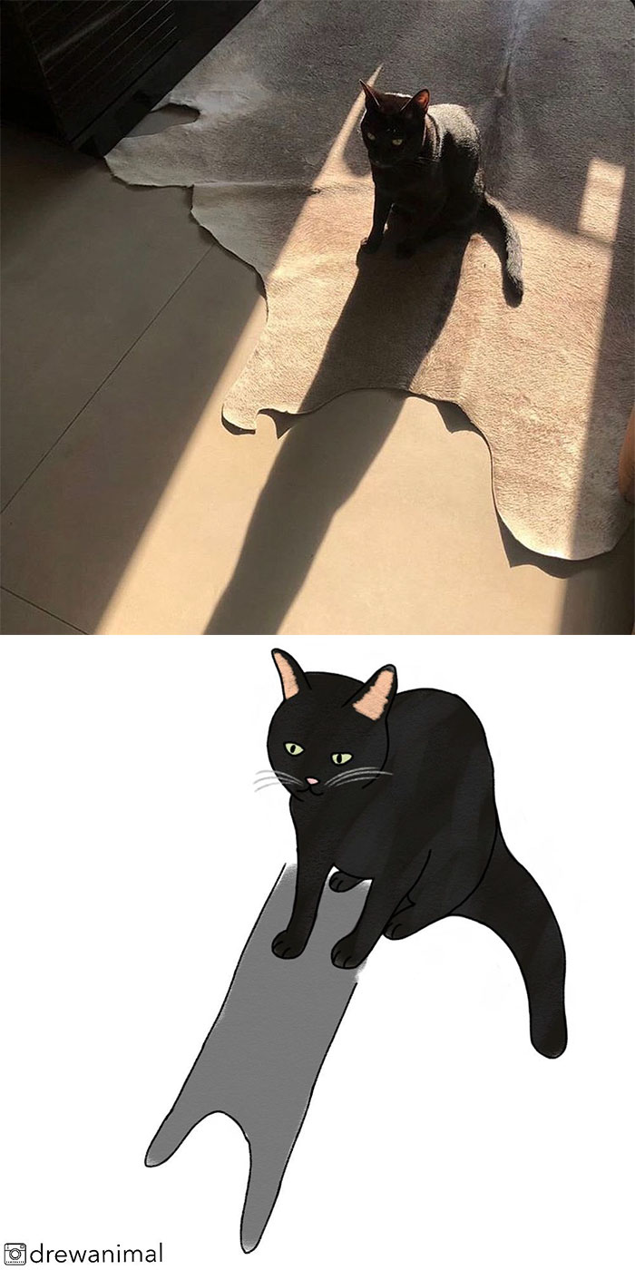 Artist Turns Classic Cat Memes Into Minimalist Illustrations
