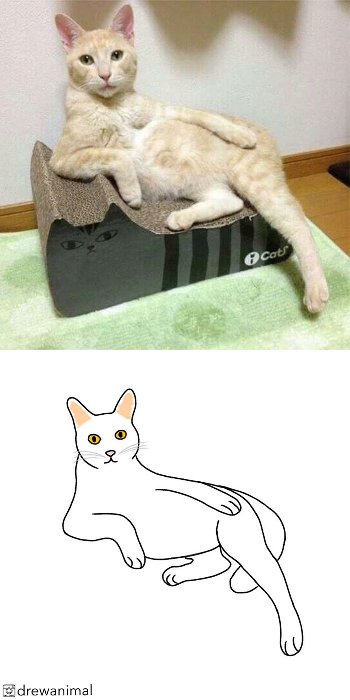 Artist Turns Classic Cat Memes Into Minimalist Illustrations