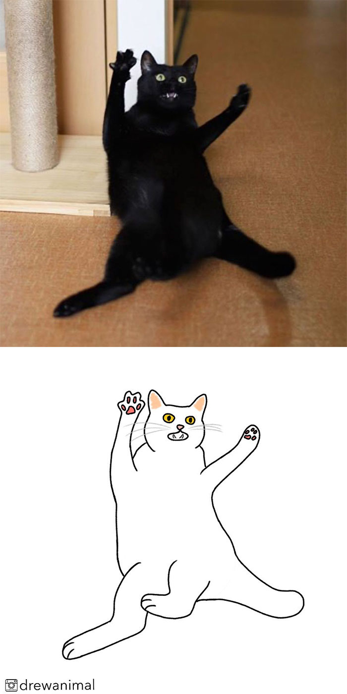 Artist Turns Classic Cat Memes Into Minimalist Illustrations