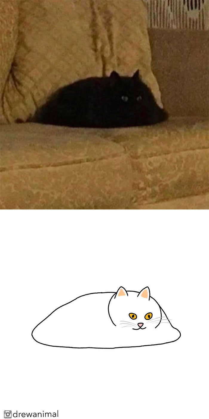 Artist Turns Classic Cat Memes Into Minimalist Illustrations