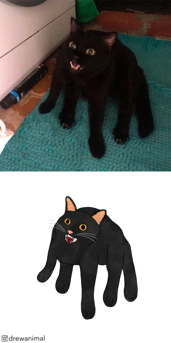 Artist Turns Classic Cat Memes Into Minimalist Illustrations