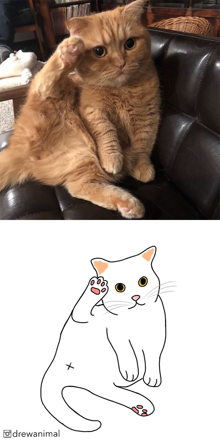 Artist Turns Classic Cat Memes Into Minimalist Illustrations