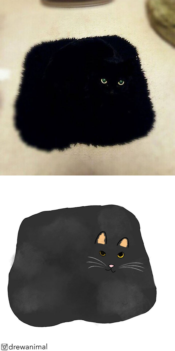 Artist Turns Classic Cat Memes Into Minimalist Illustrations