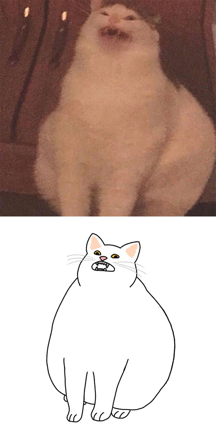 Artist Turns Classic Cat Memes Into Minimalist Illustrations