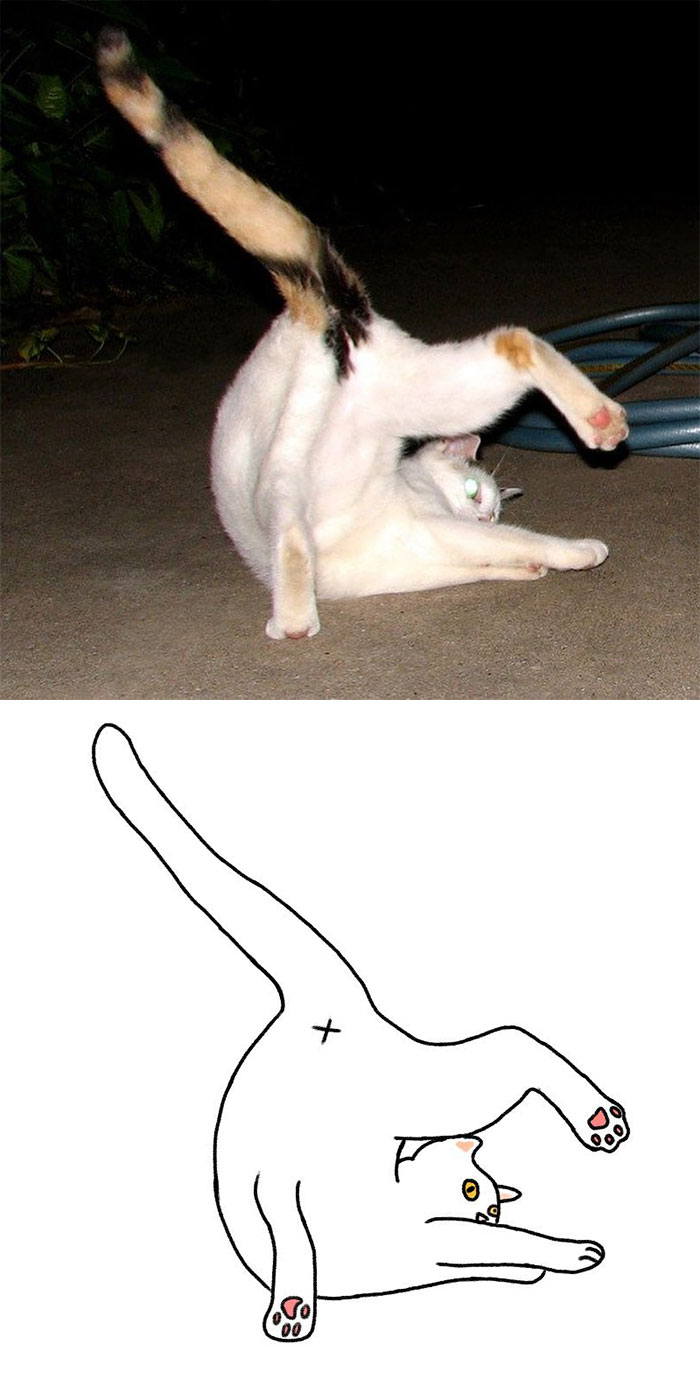 Artist Turns Classic Cat Memes Into Minimalist Illustrations