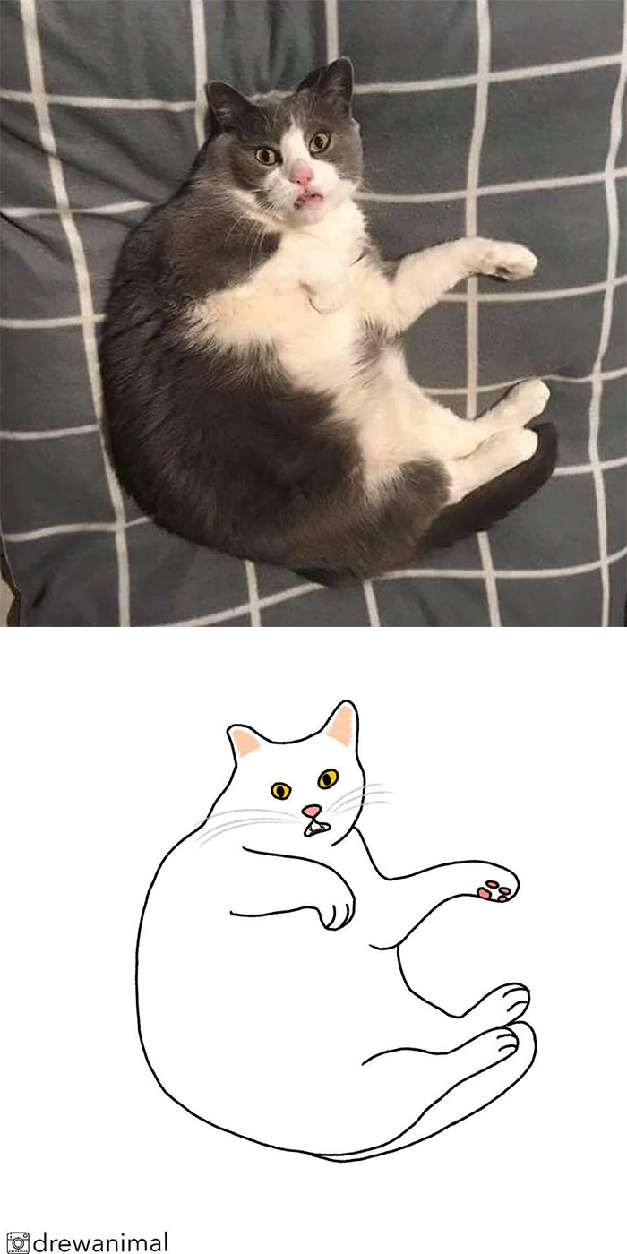 Artist Turns Classic Cat Memes Into Minimalist Illustrations