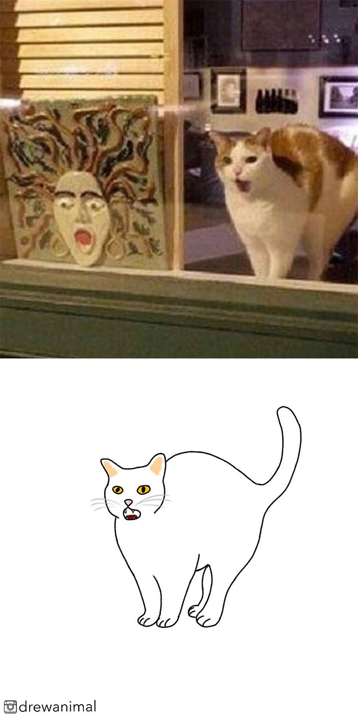 Artist Turns Classic Cat Memes Into Minimalist Illustrations
