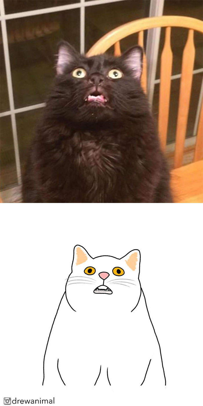 Artist Turns Classic Cat Memes Into Minimalist Illustrations