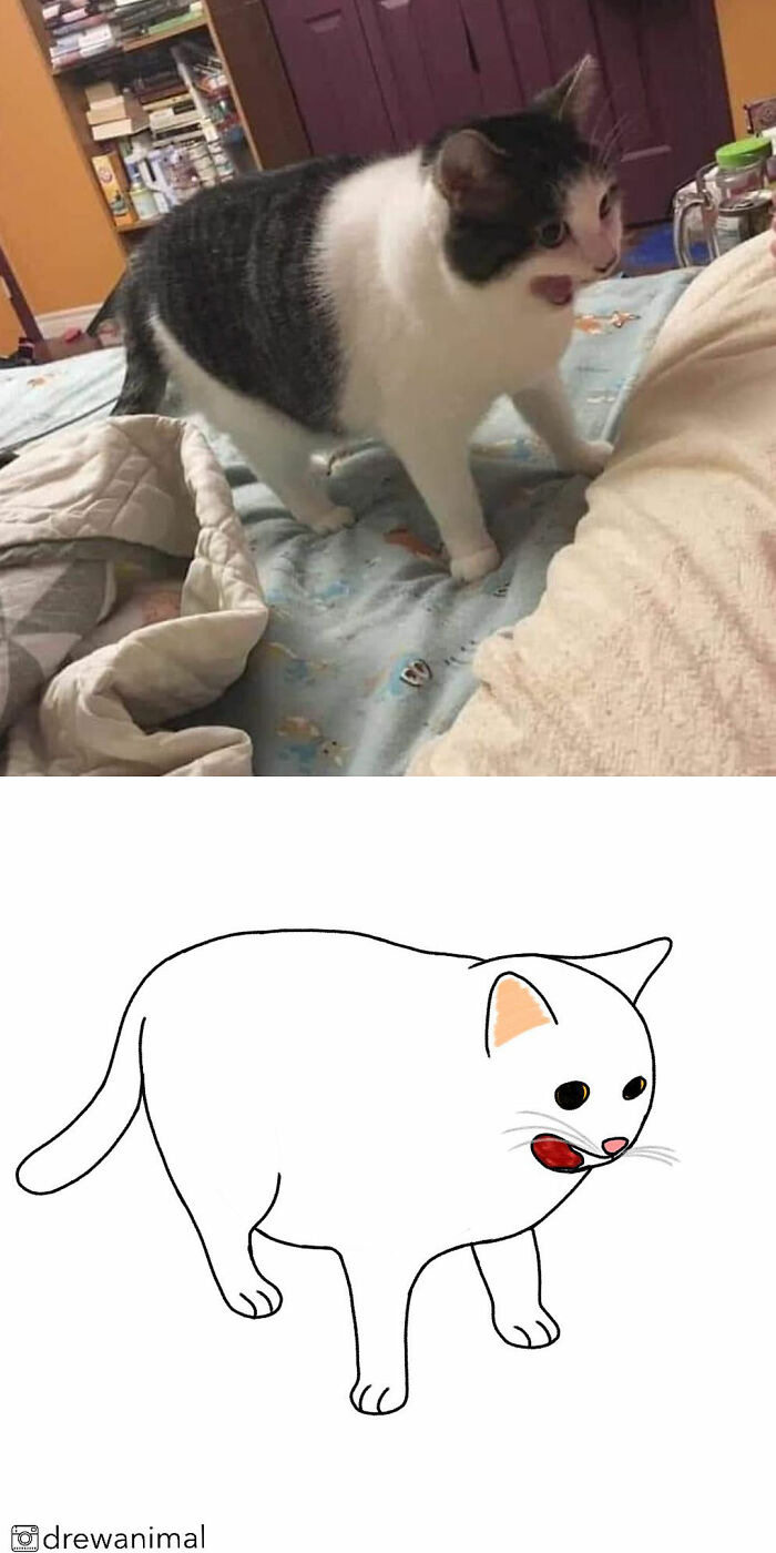 Artist Turns Classic Cat Memes Into Minimalist Illustrations