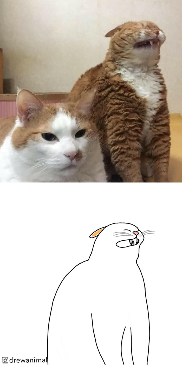 Artist Turns Classic Cat Memes Into Minimalist Illustrations