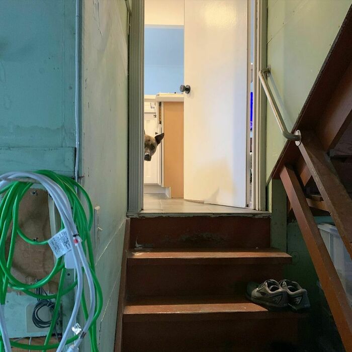 Mom Calls It Being Scared Of The Garage. I Call It Social Distancing