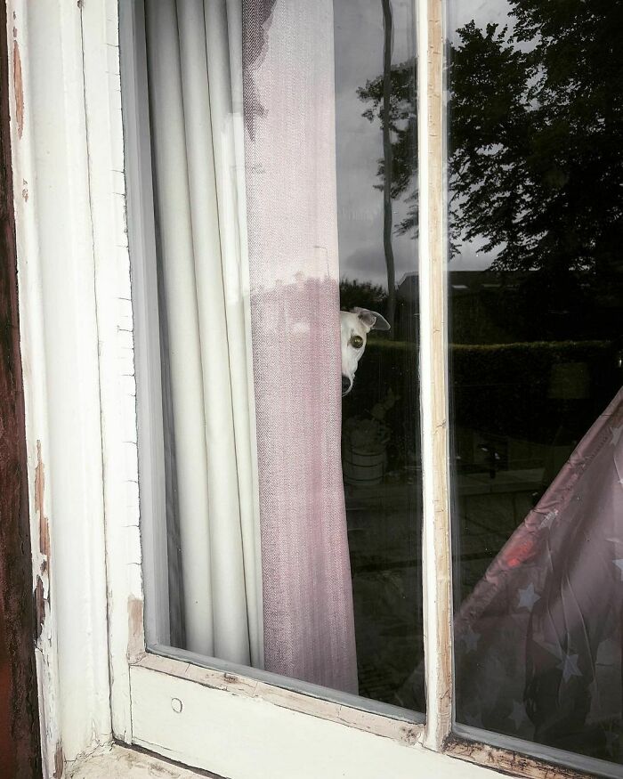 When He's Heard You Coming