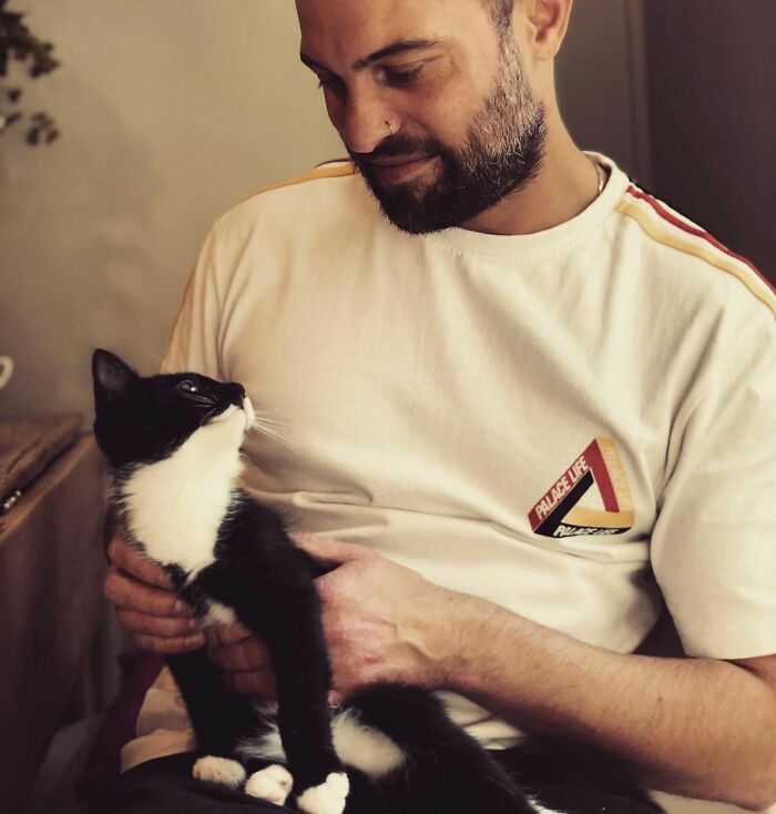 Cat Brings Its Parents A Note From The Neighbors He Visits, They Become Pen Pals With The Cat As Their Postman Cat Brings Its Parents A Note From The Neighbors He Visits, They Become Pen Pals With The Cat As Their Postman