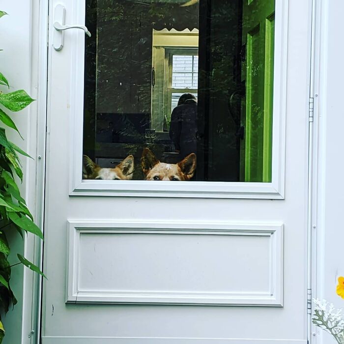 Hey, Where You Goin'?