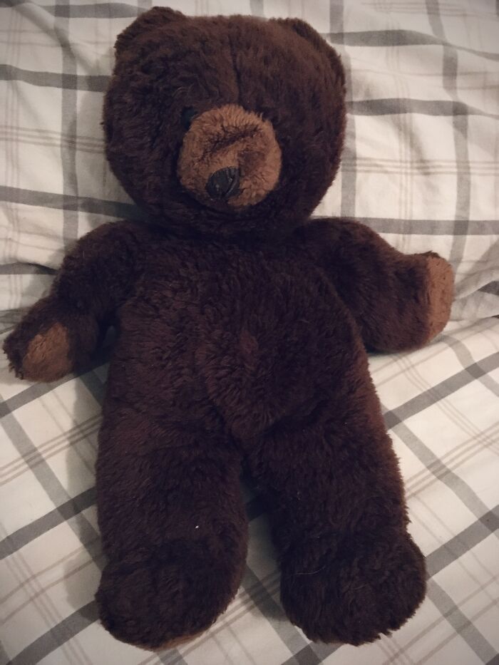 His Name Is Bear And He Has One Eye