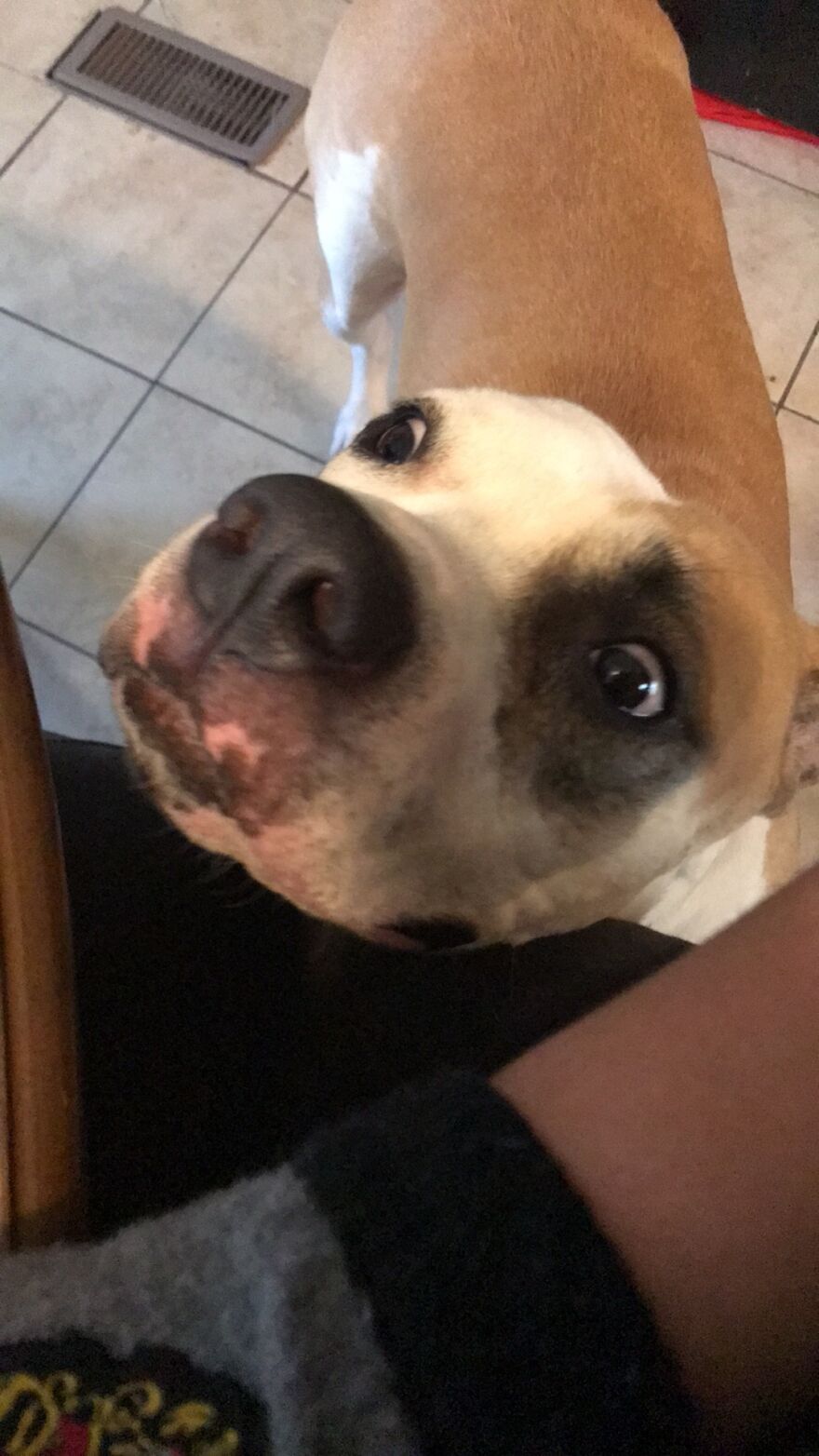 Thought You Guys Might Like Some Cute Animals :)