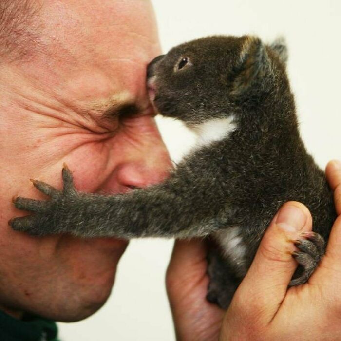 Australian Zookeeper Shares The Behind-The-Scenes Of Running A Wildlife Park (21 Pics)