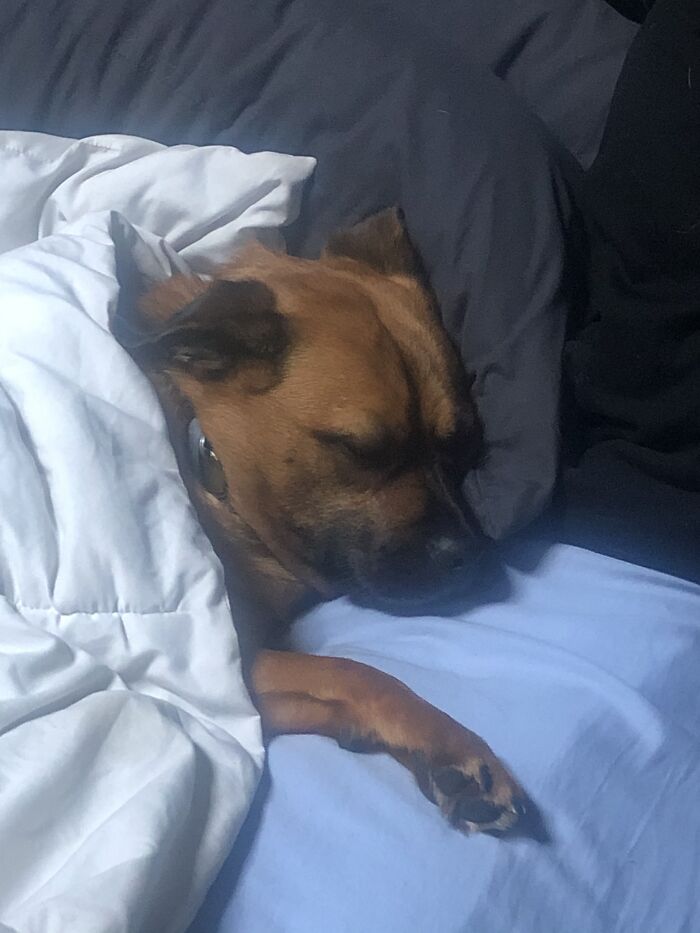 I’m Not Ready To Get Up Yet