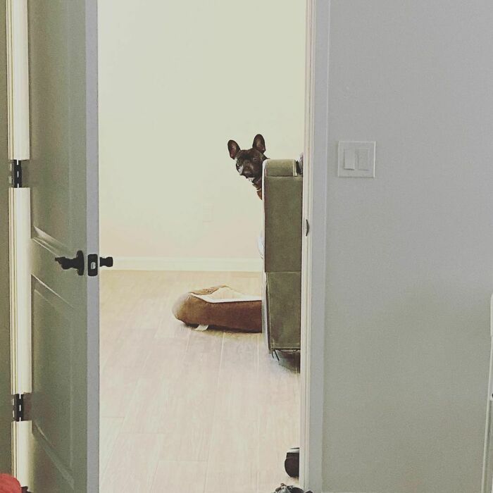 Did I Hear A Bag Opening?