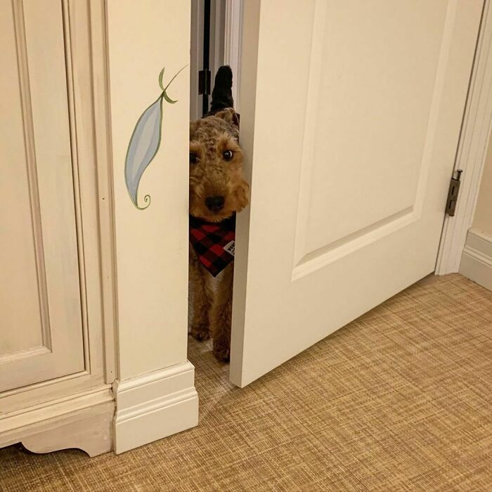 Is A Cracked Bathroom Door Open For Me To Enter?