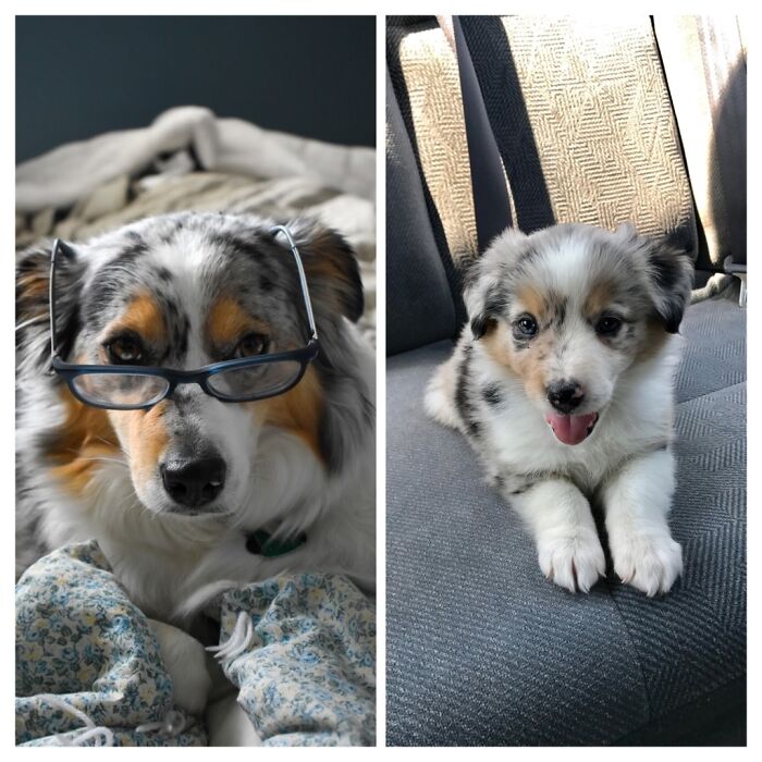 Sydney Now vs. Then. She Spent All That Time Perfecting Her Librarian Gaze
