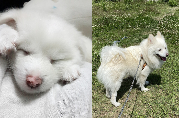 Babu At 2 Months And 4.2 Years Old