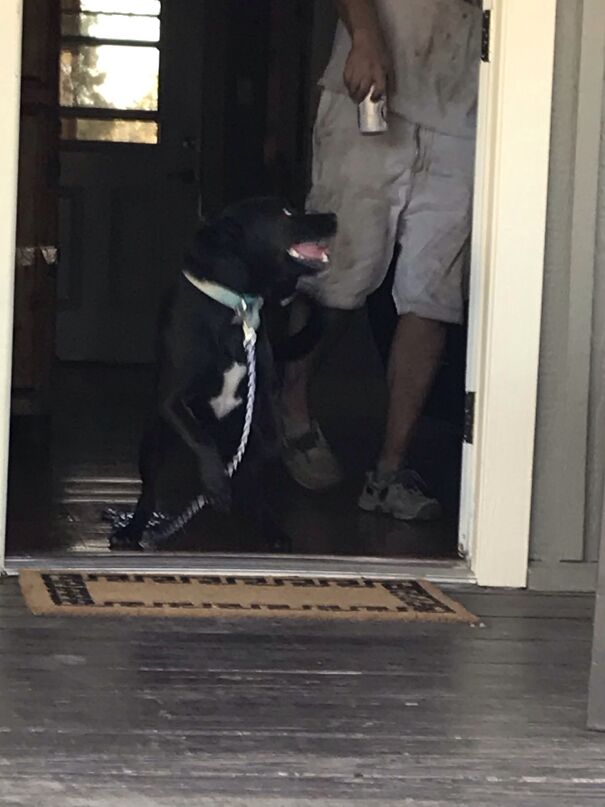 Keep In Mind That Odie Is Looking At The Beer