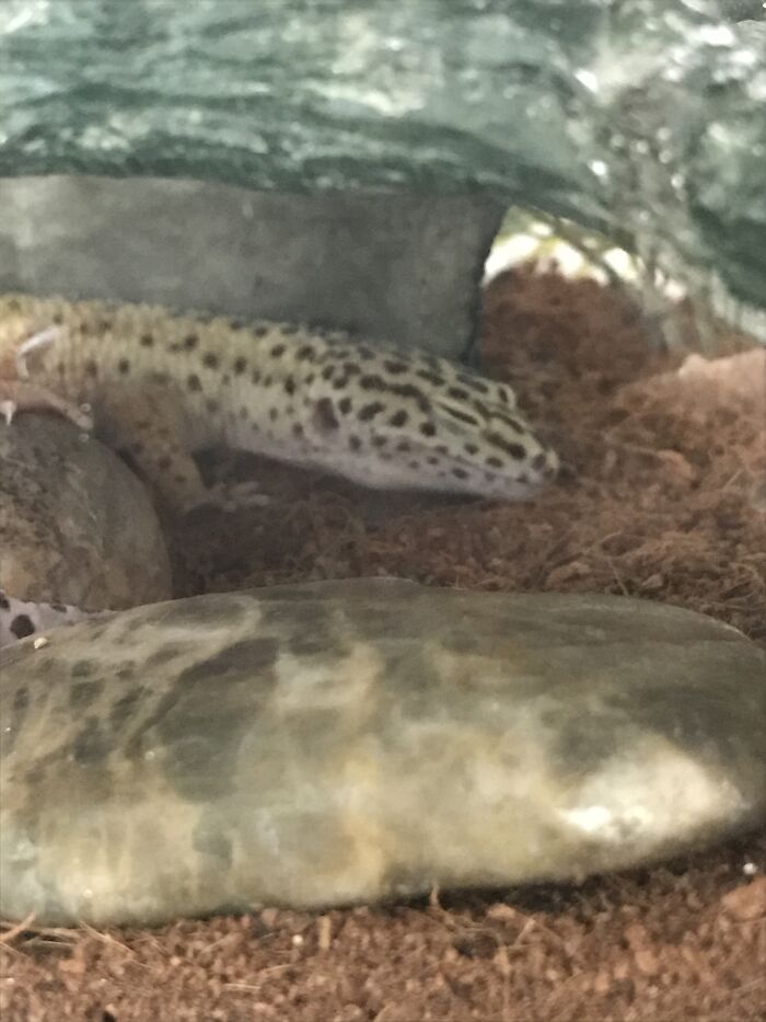 The Only Pic I Could Find Of Sandy Sleeping