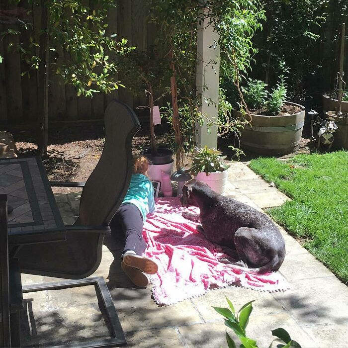 Enjoying The Sunshine Together