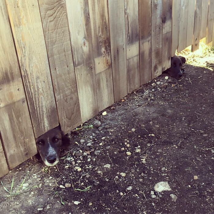 What's Going On Out There?