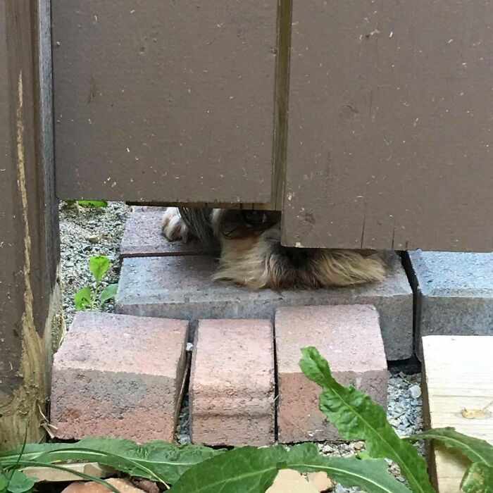 What's Going On Out There?