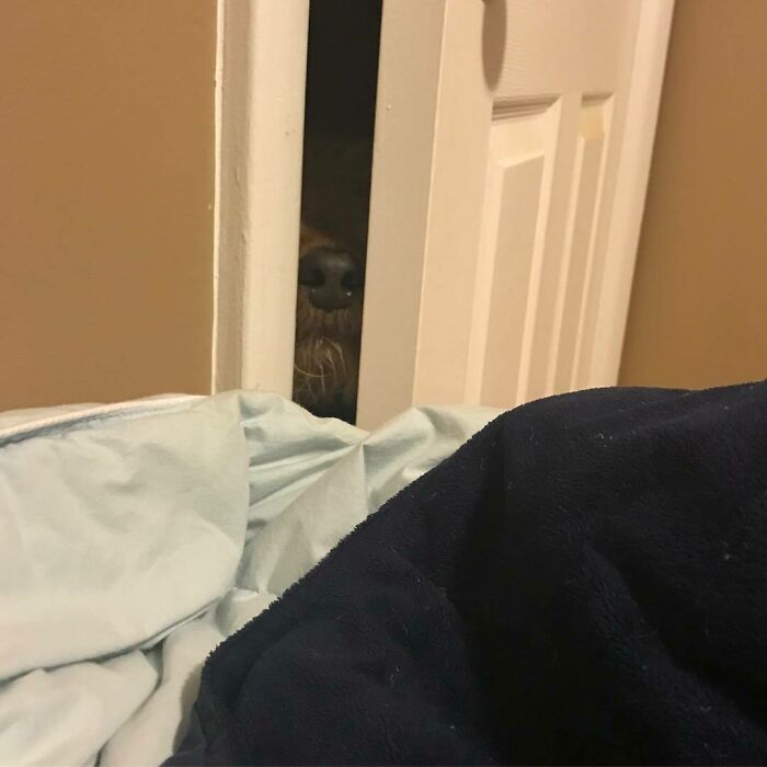 Oh, Were You Looking For Some Privacy?