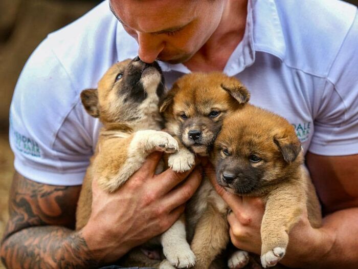 Australian Zookeeper Shares The Behind-The-Scenes Of Running A Wildlife Park (21 Pics) Australian Zookeeper Shares The Behind-The-Scenes Of Running A Wildlife Park (21 Pics)