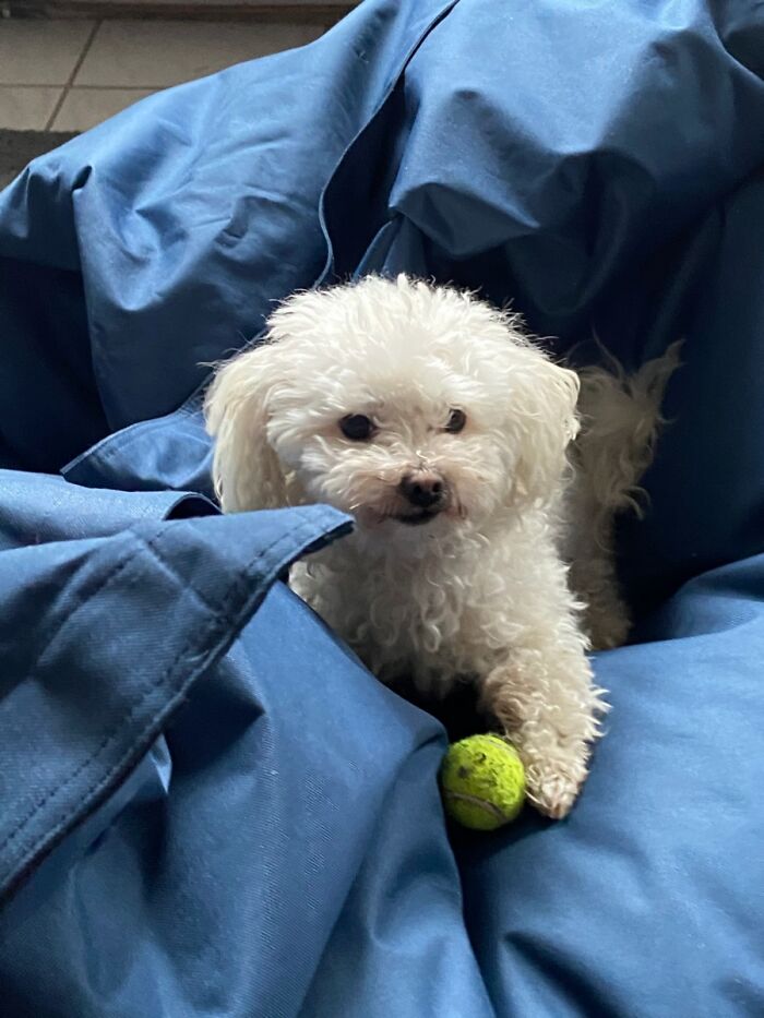 His Happiness Makes Me Happy