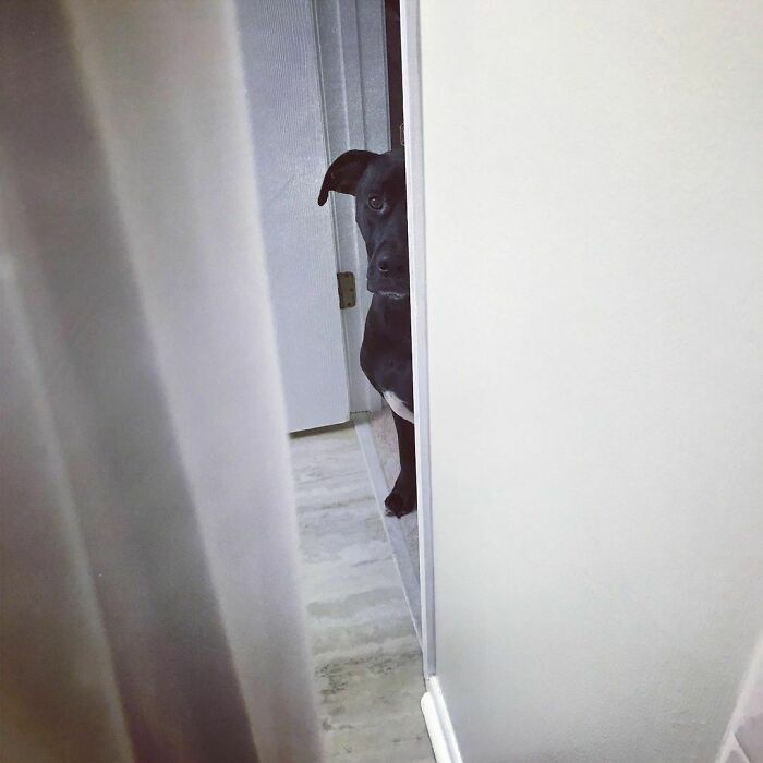 Personal Space? What’s That?