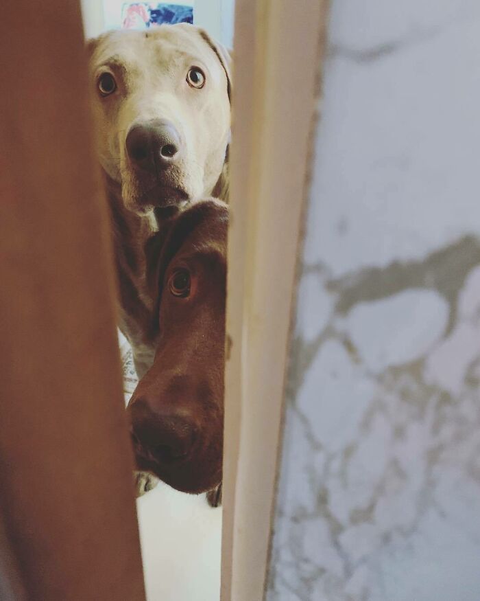 Mom Is Annoyed. She Says She Can Never Have Any “Bathroom Privacy”. Whatever That Is