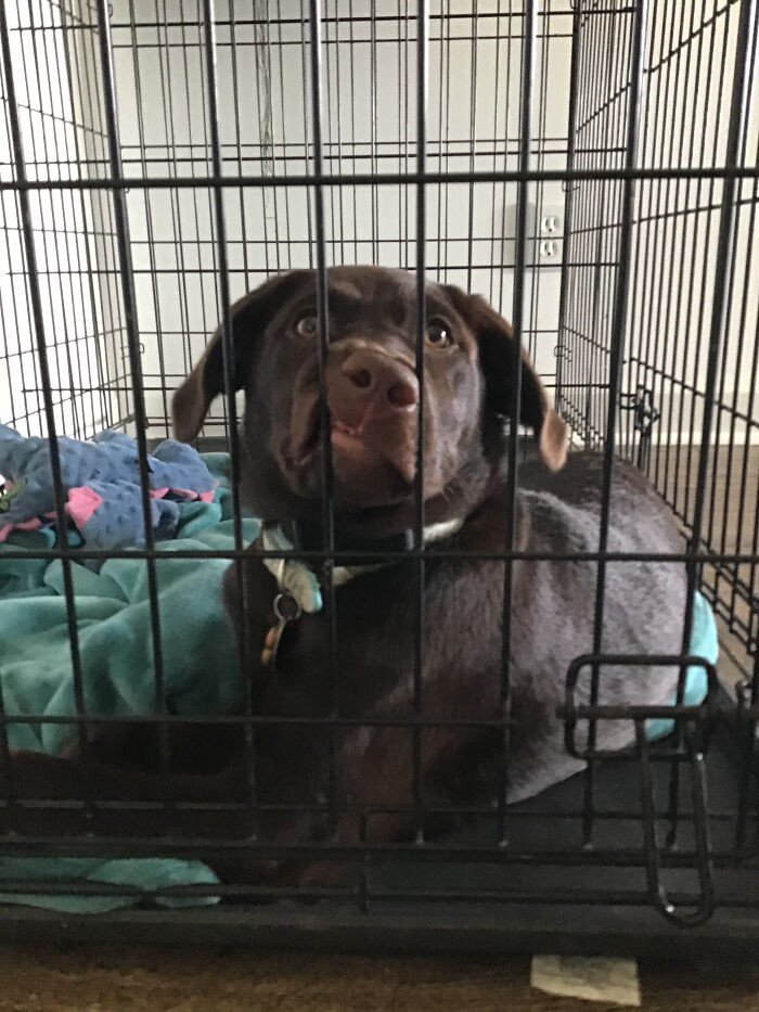 When You Find You Comfy Spot