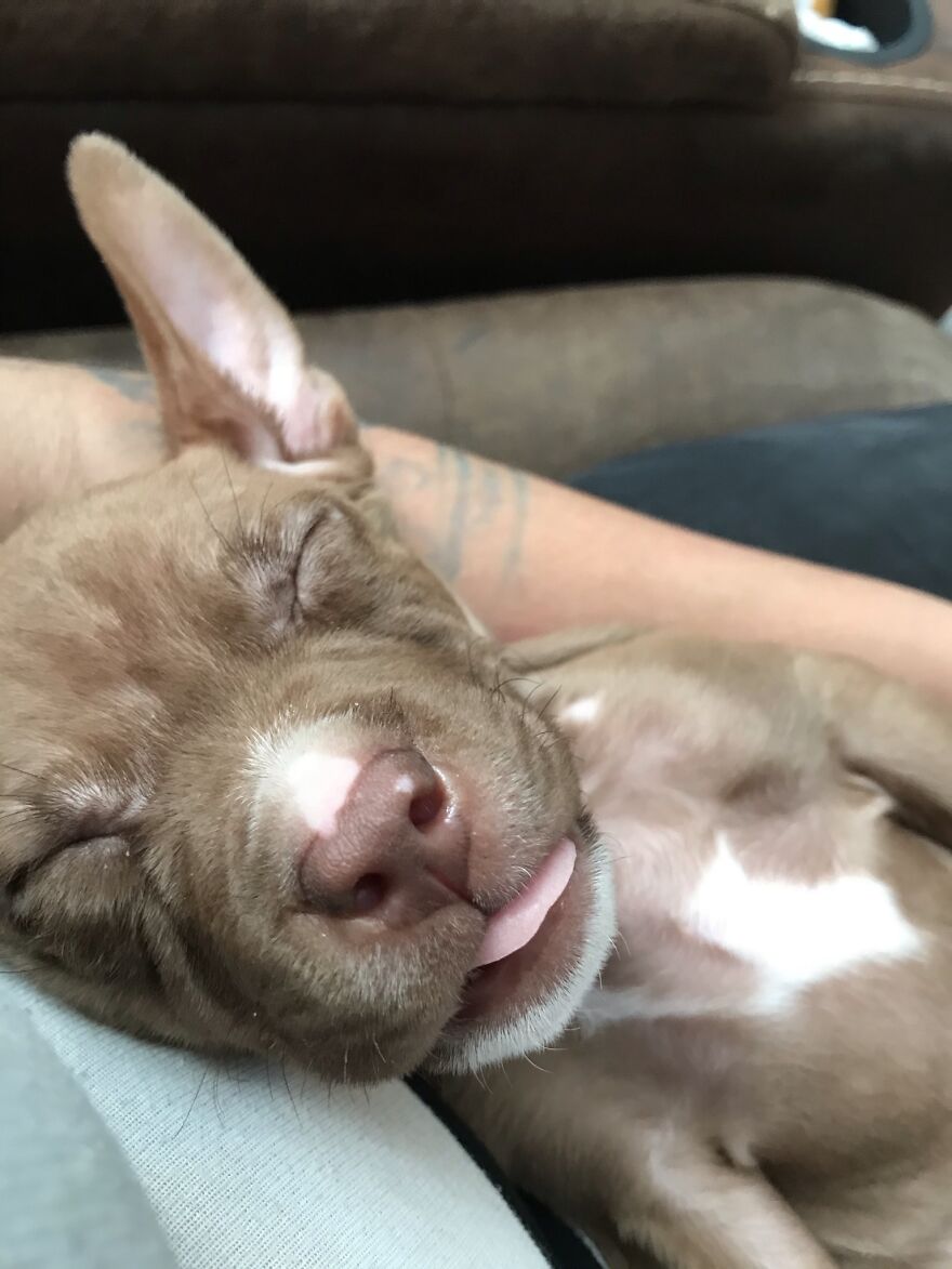 Thought You Guys Might Like Some Cute Animals :)