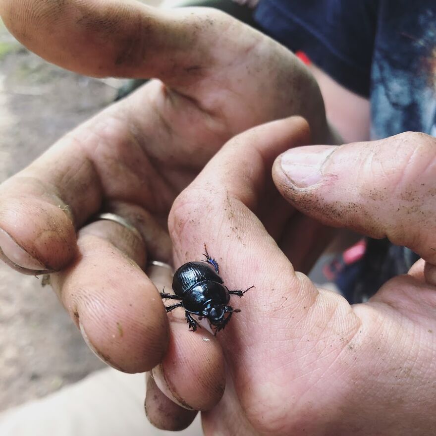 This Might Be The One. Unless You Want To See Every Second Of My Dog's Life During Lockdown In Pictures